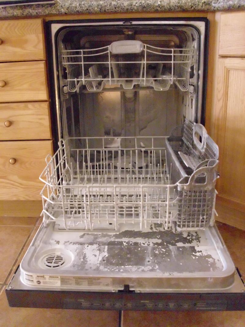 Working dishwasher problems